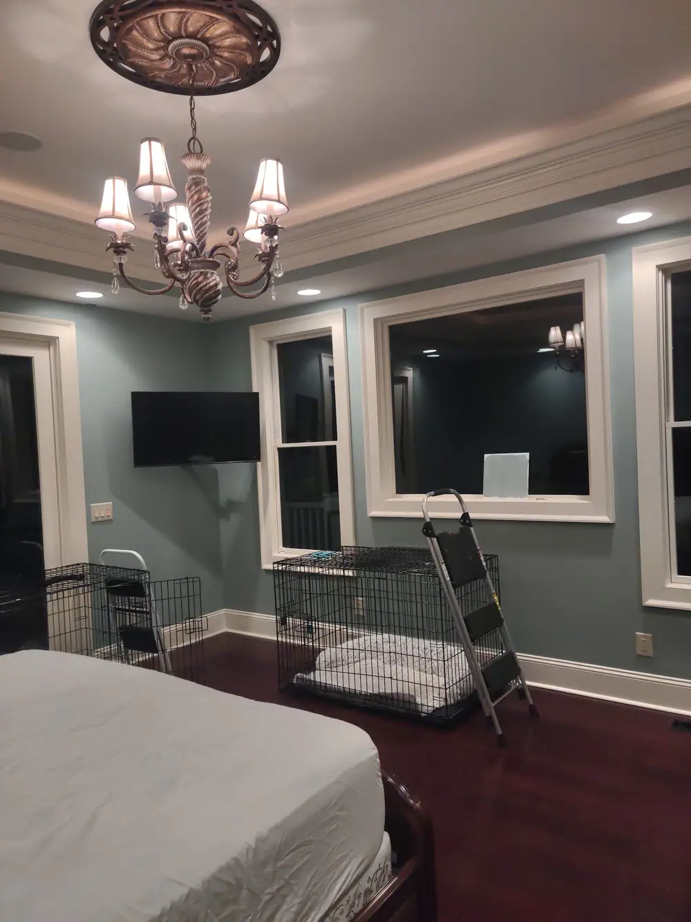 Bedroom with blue gray walls, a tray ceiling, white crown molding and wide white window trim
